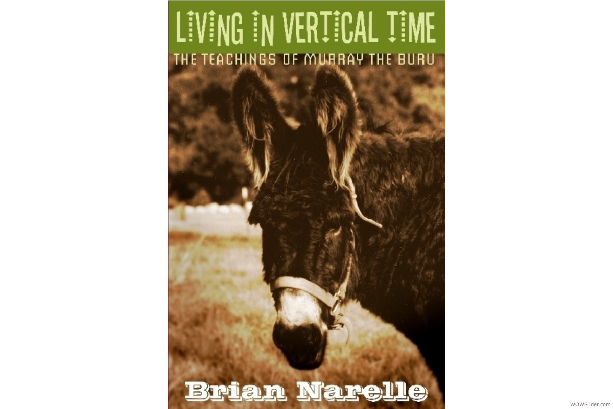 Book Cover: Living in Vertical Time